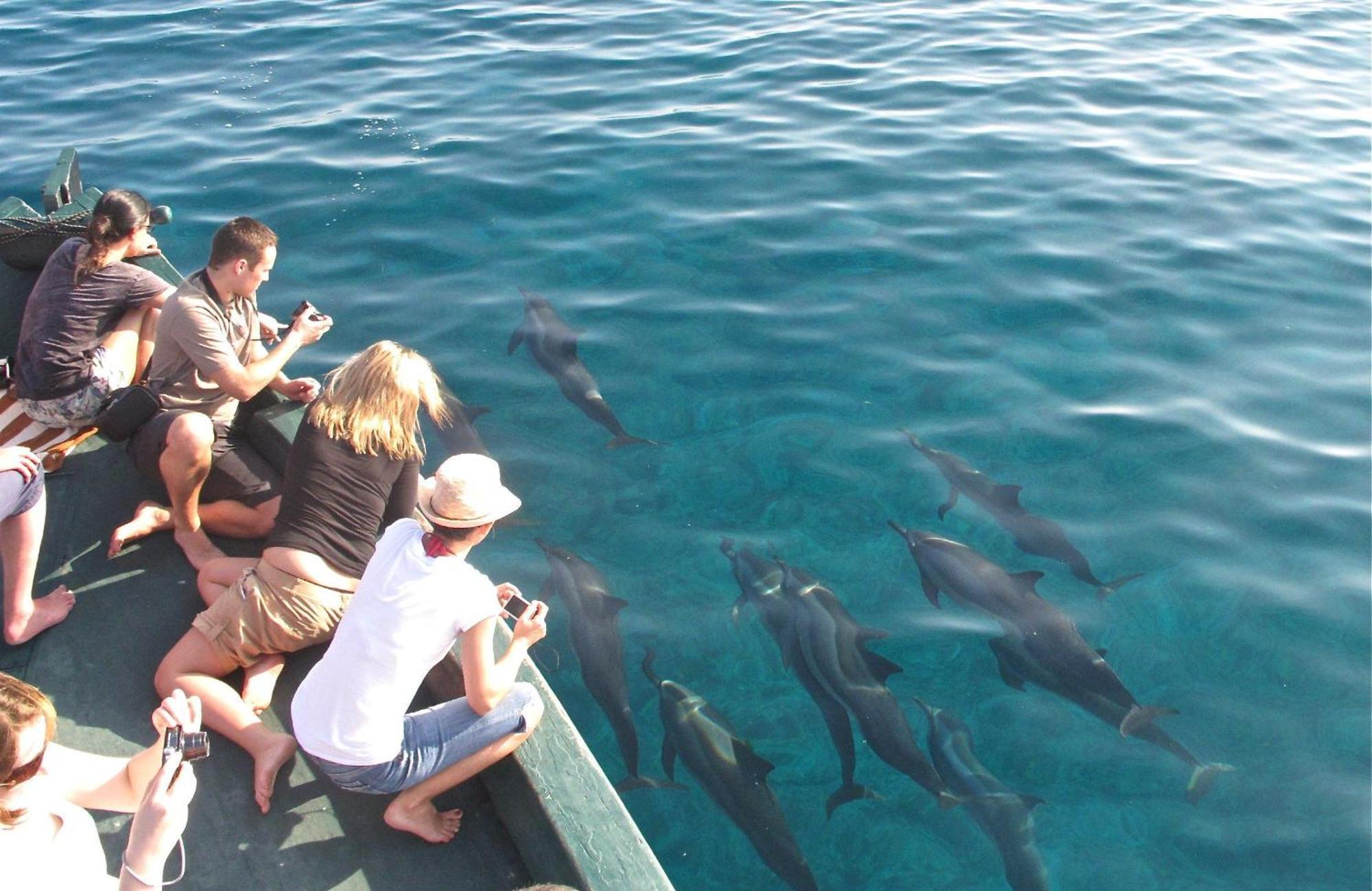 Blue Wave Hotel Maldives- Same Sea, Same Sand Same Sun Like Resorts Kudahuvadhoo 외부 사진